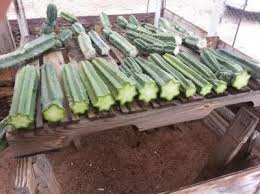 * we are the largest provider in the usa with a large selection year round. Pin On Plants