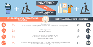 Six underlying causes of high cholesterol. Nutrients Free Full Text Consumption Of A High Protein Meal Replacement Leads To Higher Fat Oxidation Suppression Of Hunger And Improved Metabolic Profile After An Exercise Session Html