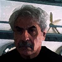 70+ "Suglio" profiles