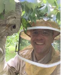 Wasp, Hornet, and Bee Removal