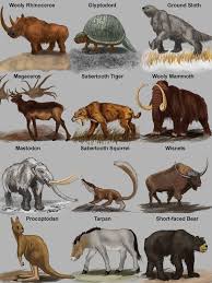 Cats And Kittens Prehistoric Mammals Prehistoric Mammals Mamals Animals Mammals Mammals Activities For Kids Free Printabl In 2020 Animals Extinct Animals Mammals