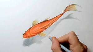 @carolines._.art thank you💕#art #artwork #drawing #goldfish #fish #goldfishart #goldfishdrawing #fishart #goldfishart #prismacolorartwork #prismacolorart #prismacolor #teenartist #youngartist 3d Colour Pencil Sketch How To Draw A Goldfish 3d Art Drawing Youtube 3d Art Drawing Art Drawings 3d Art