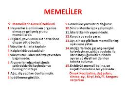 Memeli Grubu Nedir