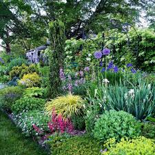 Garden Planting Ideas For The Uk Gardenplanningideas Garden Planning Flower Landscape Plants