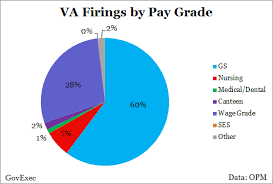 Va Fired 2 247 People Last Year But Only 2 Were Senior