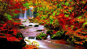 Sigue bajando que podrás descargar imágenes de paisajes gratis para pc. Fondos Otono Wallpapers Autumn Fondos De Pantalla De Otono