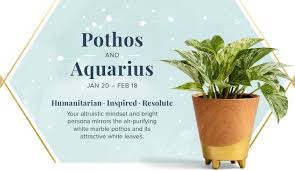 Cancers are known for their gentle and defensive attitude and are sometimes clingy. Your Perfect Plant According To Your Zodiac Sign Proflowers