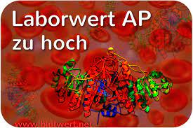 Laborwert Ap Alkalische Phosphatase Einfach Erklart