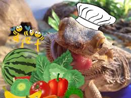 Bearded dragons are omnivores, which means they need to eat both insects and vegetables to be healthy. Bearded Dragon Diet And Nutrition Over 125 Safe Food List