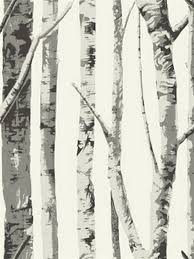Black And White Birch Tree Wallpaper Ec50000 White Birch Trees Wallpaper By Seabrook Total Wallcovering Birch Tree Wallpaper Tree Wallpaper White Birch Trees