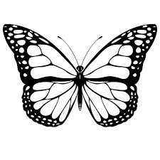 How To Make A Gelatin And Royal Icing Butterfly Butterfly Clip Art Butterfly Printable Butterfly Coloring Page