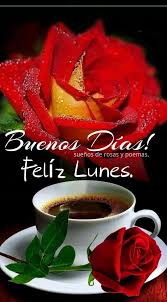 Gracias Dios, por todo lo que... - Sueños de rosas y poemas. | Facebook