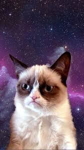Grumpy Cat In Space Cat Wallpaper Cat Phone Wallpaper Pretty Wallpaper Iphone