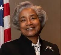 Port Huron elects new mayor and council member