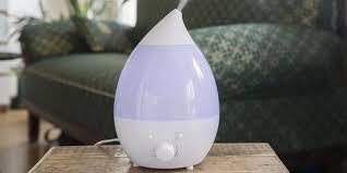 Was Taugt Ein Luftbefeuchter