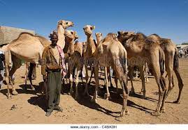 Weitere informationen in der datenschutzerklärung. Pin On Somalia