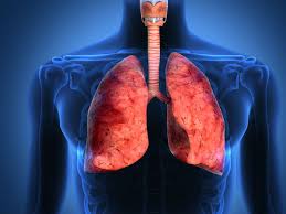 Early on in the disease, people with lung cancer may not have any symptoms. World Lung Cancer Day Types Of Lung Cancers Signs Symptoms Boldsky Com