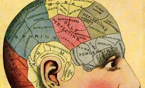 It is caused by inflammation of the blood vessels of the head or bony changes in the structures of the neck. The Shape Of Your Head And The Shape Of Your Mind The Atlantic