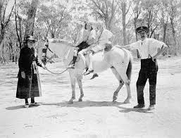 Shepparton District Victoria 1927 Two Girls And A Boy On A Horse At A Salvation Army Picnic A Male And A Female Salvati Salvation Army Horses Vintage Horse