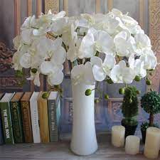 2021 78cm Best Simulation Butterfly Orchid Phalaenopsis Flower Home Decorative Flowers Party Wedding Event Decoration Hot Sale From Love World 2 12 Dhgate Silk Flowers Wedding Orchid Flower Flower Decorations