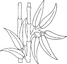 Bamboo coloring pages, nature, trees. Coloring Bamboo Picture