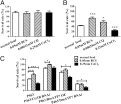 Huntington Disease Arises From A Combinatory Toxicity Of Polyglutamine And Copper Binding Pnas