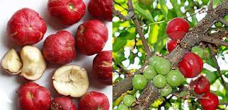 Menghidap darah tinggi & perlu mengambil ubat mengikut via siakapkelinews.blogspot.com. Rawatan Tekanan Darah Tinggi Kolesterol Dan Darah Pekat Mohd Roslan Abdul Ghani