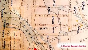 Coney's Missing Streets