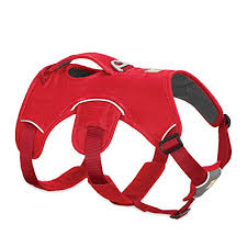 Some cats get very aroused or stressed if they see things out of the window and then redirect it to people or other pets. 5 Best Escape Proof Dog Harnesses For Houdini Hounds 2021 Reviews