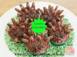 Echidna Cupcakes Aboriginal Food Animal Party Food Australia Day Celebrations