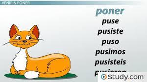 Select this option only if your district is using savvas easybridge plus or easybridge auto. Spanish Grammar Preterite Conjugations Of Venir Poner Decir Traer Video Lesson Transcript Study Com