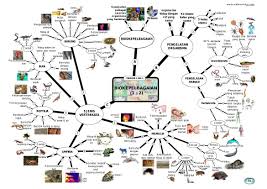 Sains peta minda tingkatan 2. Sains Peta Minda Tingkatan 2