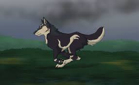 The Legend Of Zelda Breath Of The Wild Wolf Link Https Encrypted Tbn0 Gstatic Com Images Q Tbn 3aand9gcramqbqzpdknioaex3m7l1w3jt9d7tlez4ooa Usqp Cau