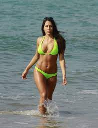 Nikki Bella looks like | Wrestlingfigs.com WWE Figure Forums