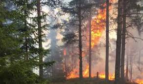 De har förstås aktualiserats av storbranden i västmanland, den enskilt största på minst 100 år. Karta Har Ar Skogsbranderna Som Rasar I Landet