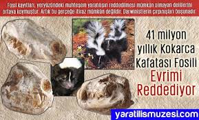 Yaratilis Atlasi Adnan Oktar Atlas Fosil Evrim Yaratilis Arafom Harun Yahya Http Adnanoktar Com Yaratilis Atlasi Fosiller Evrim Ordu
