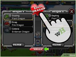How To Breed The Rainbow Dragon On Dragonvale 11 Steps