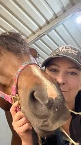 Equine&EquestrianPulseTherapy