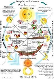 Les Phases De La Lune Phase De La Lune Lune Cycle De La Lune
