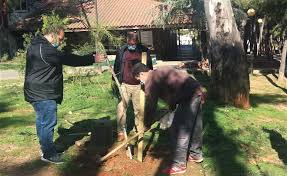 Πάνω από 100 δέντρα φυτεύτηκαν στα πάρκα του Βύρωνα | XΤΥΠΟΣ online