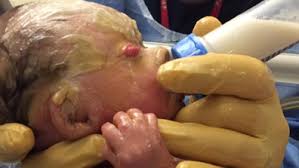 Image result for Harlequin Color Change