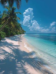 200 Best beautiful beach ideas | tropical beach background 4k, tropical beach pictures, beach wallpaper sunset
