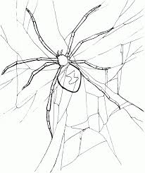 Free Printable Spider Coloring Pages For Kids Spider Coloring Page Animal Coloring Pages Avengers Coloring Pages