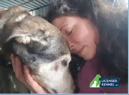 Emotional Rescue LLC