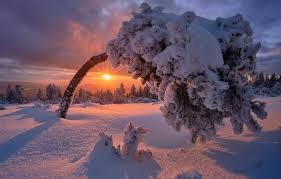 It is the second most popular tourist destination in all of. Wallpaper Winter Snow Sunset Tree Germany Frost Germany Baden Wurttemberg Black Forest The Black Forest Baden Wurttemberg Images For Desktop Section Priroda Download