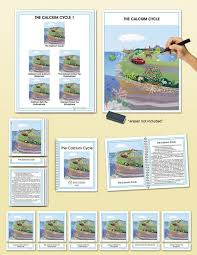 We'll track players' scores to their emails, names or another identifier of your choice. Biogeochemical Cycles The Calcium Cycle Montessori Research And Development Montessori Materials Montessori Materials Teacher Manual Materials Chemistry