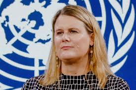 UN Special Rapporteur