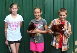 2015 Sevier County 4-H Chick Chain Winners Announced