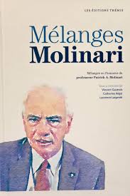 Mélanges en l'honneur du professeur Pierre-Claude Lafond