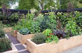 Vege Patch Pointers To Create Your Dream Garden Vegetable Garden Design Vege Garden Design Edible Garden